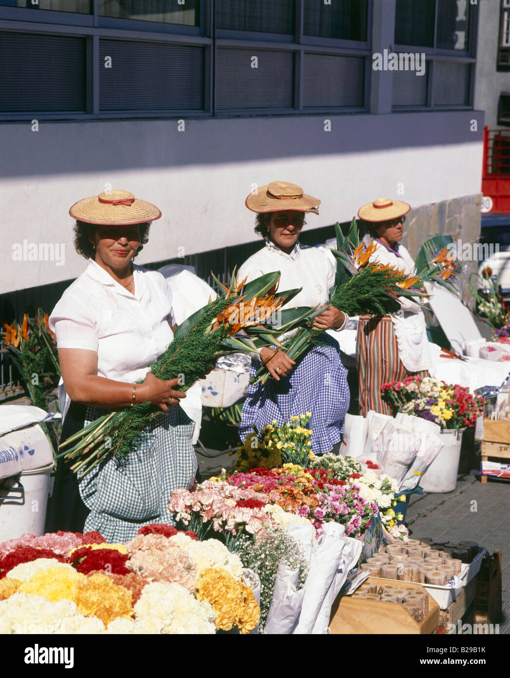 TENERIFE Canary Islands Spain Flower Sellers Puerto de la Cruz Stock Photo  - Alamy