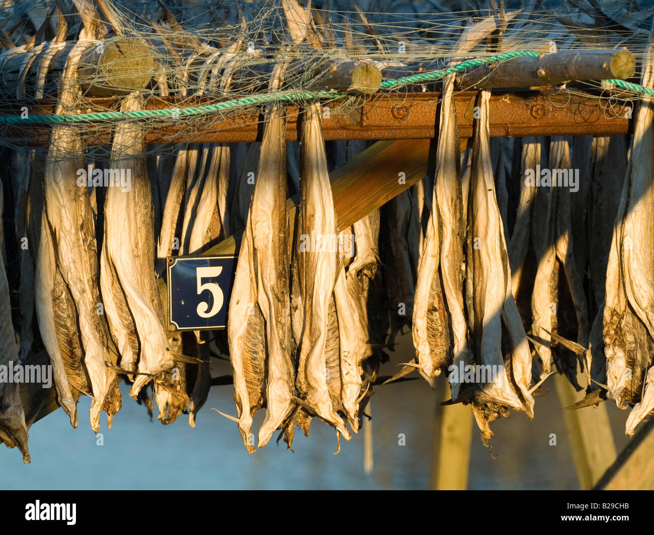 Dried cod hires stock photography and images Alamy