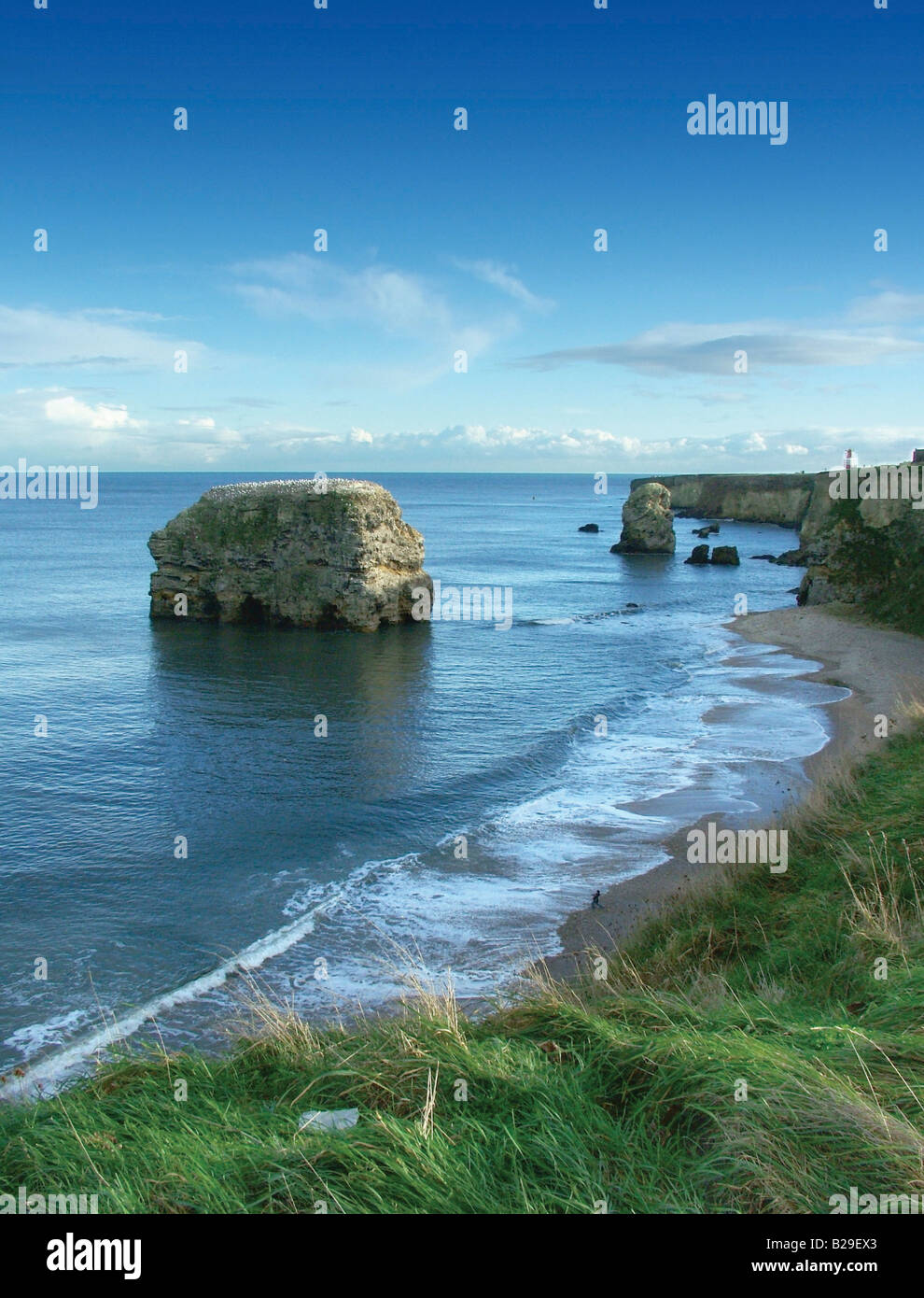 026 hires stock photography and images Alamy