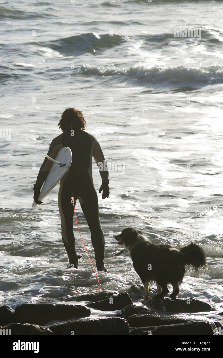 Surfer & Pet Collie Dog Stock Photo