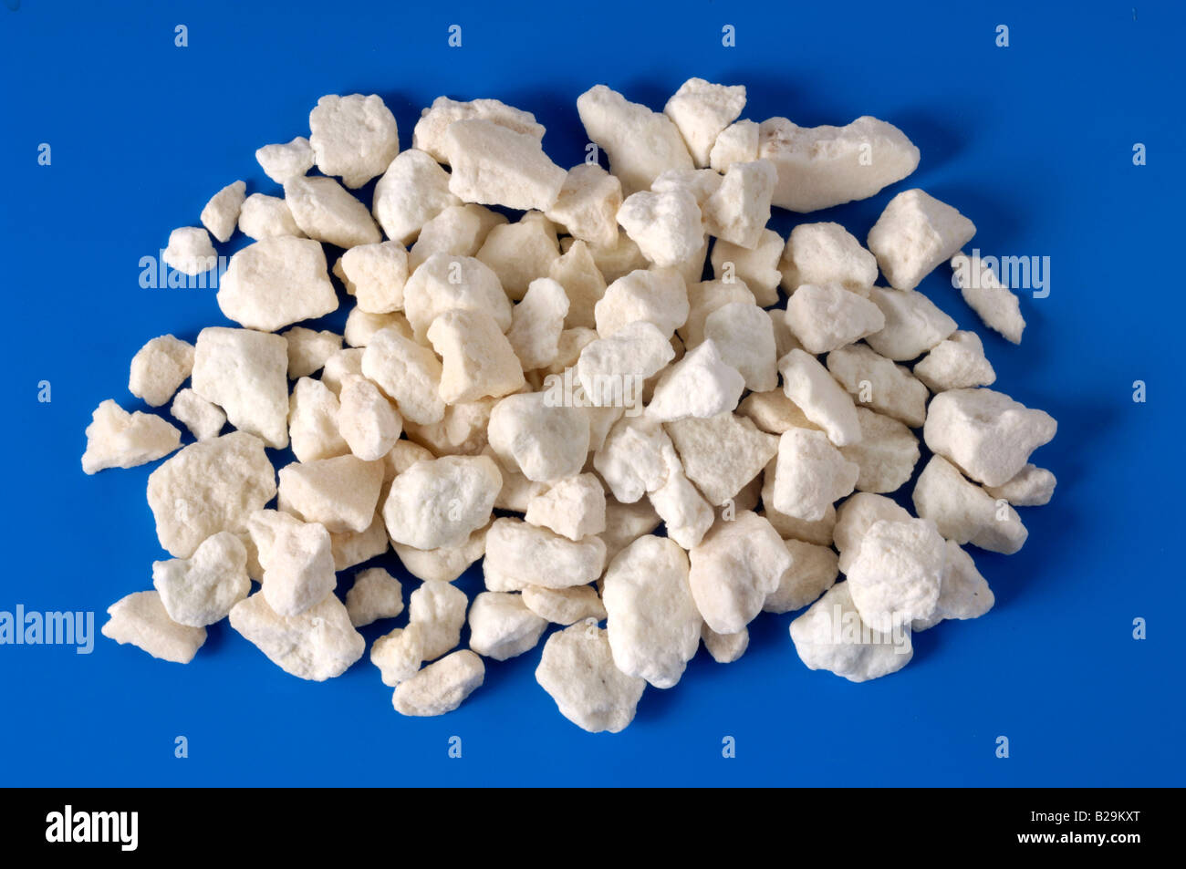 Indian Buead  Fu Ling Stock Photo - Alamy
