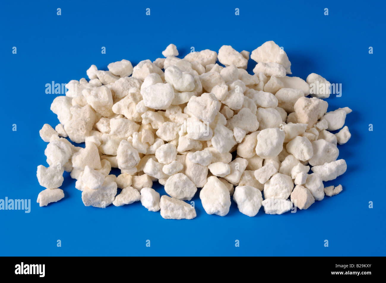 Indian Buead  Fu Ling Stock Photo - Alamy