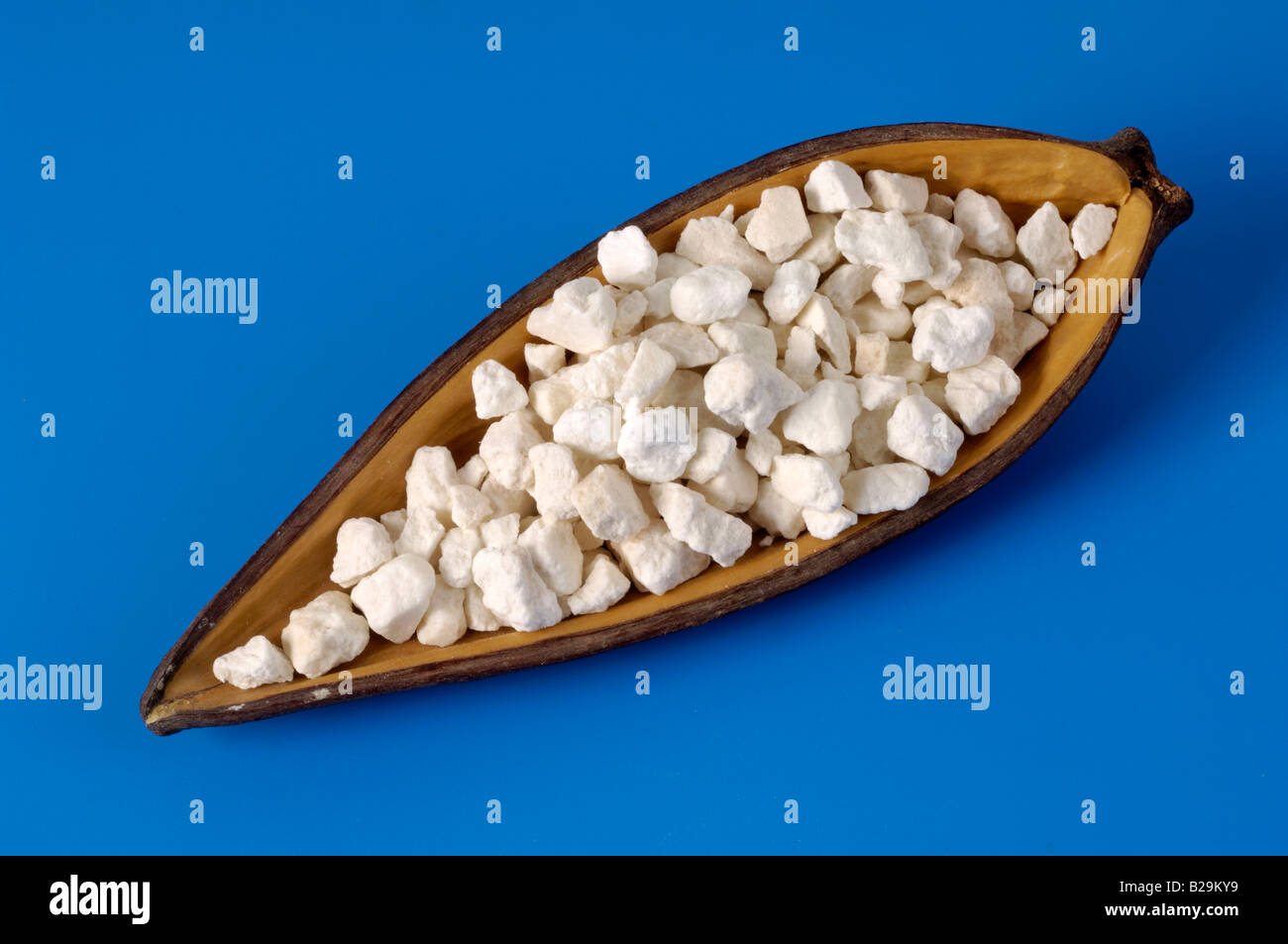 Indian Buead  Fu Ling Stock Photo - Alamy