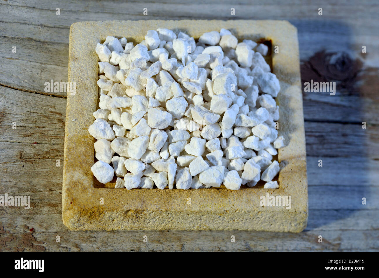 Indian Buead  Fu Ling Stock Photo - Alamy