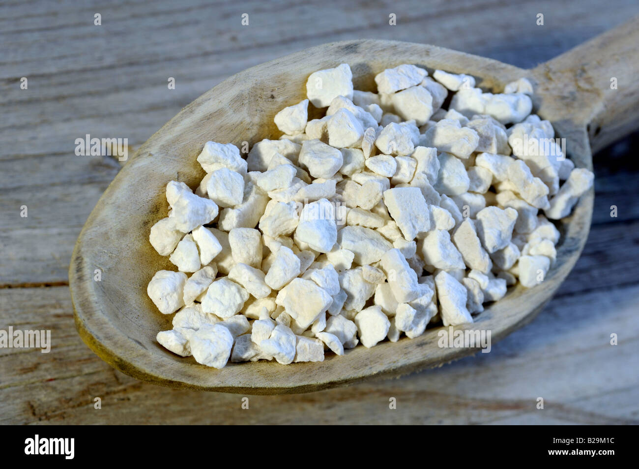 Indian Buead  Fu Ling Stock Photo - Alamy
