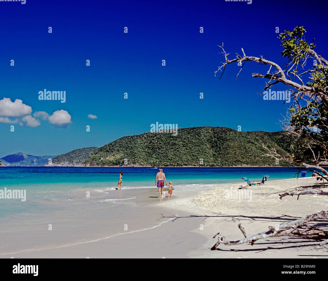 Cinnamon Beach St Johns US Virgin Islands Caribbean Stock Photo Alamy