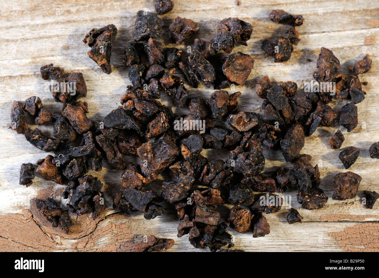 Tuber Fleeceflower Root / He Shou Wu Stock Photo