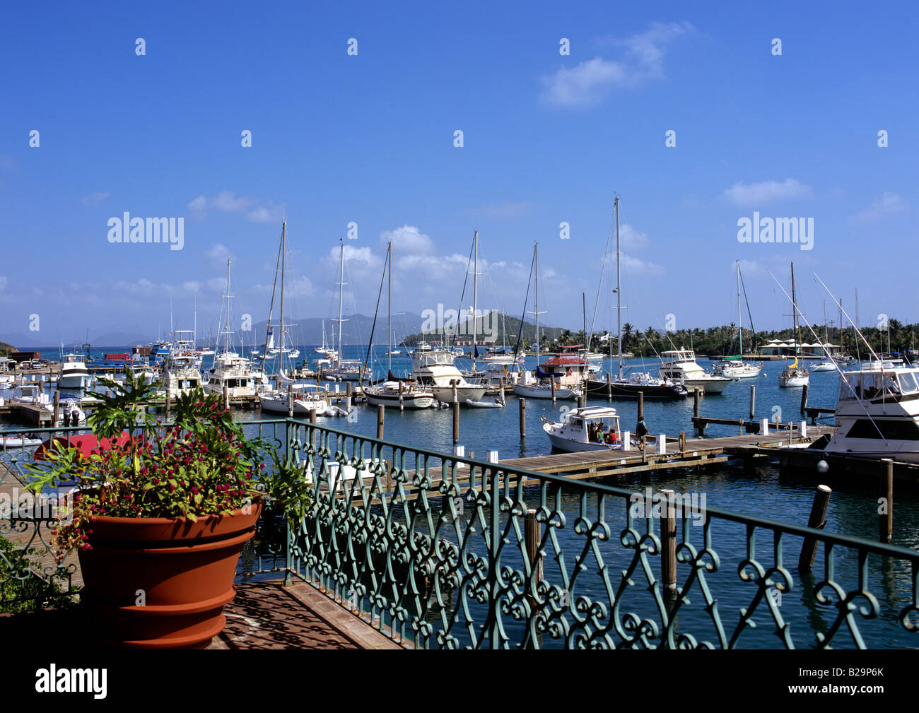 American Yacht harbour Red Hook St Thomas US Virgin Islands Caribbean