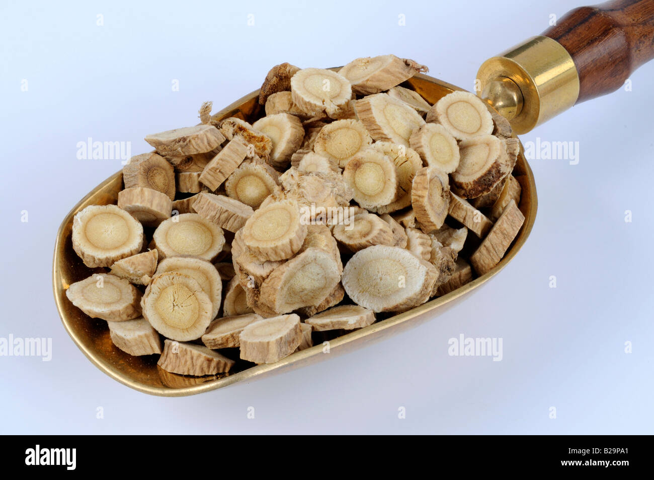 Membranous Milkvetch Root / Huang Qi Stock Photo Alamy