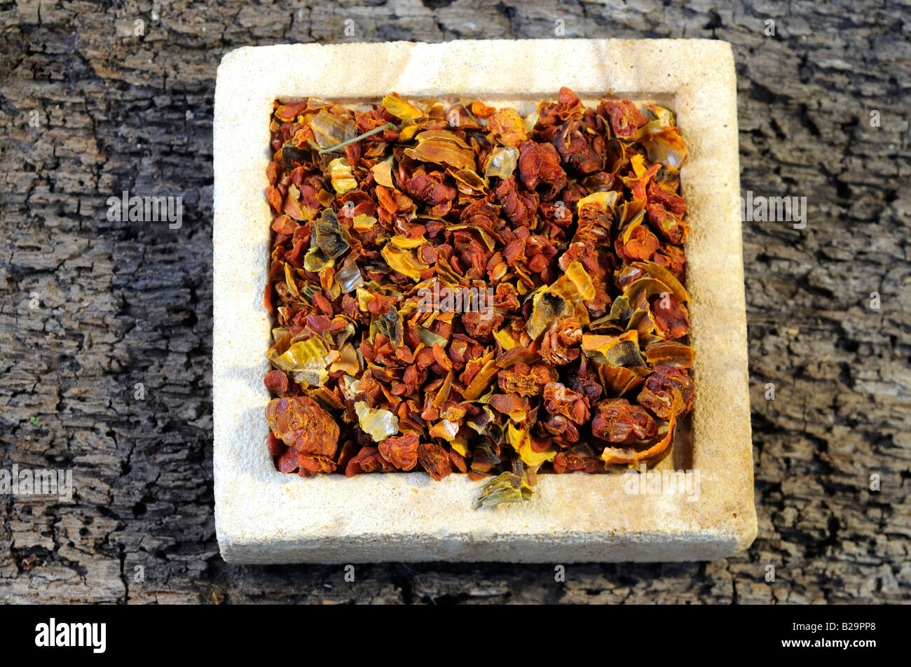 Cape Jasmine Fruit / Zhi Zi Stock Photo Alamy