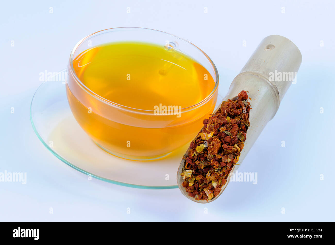 Cape Jasmine Fruit / Zhi Zi Stock Photo Alamy