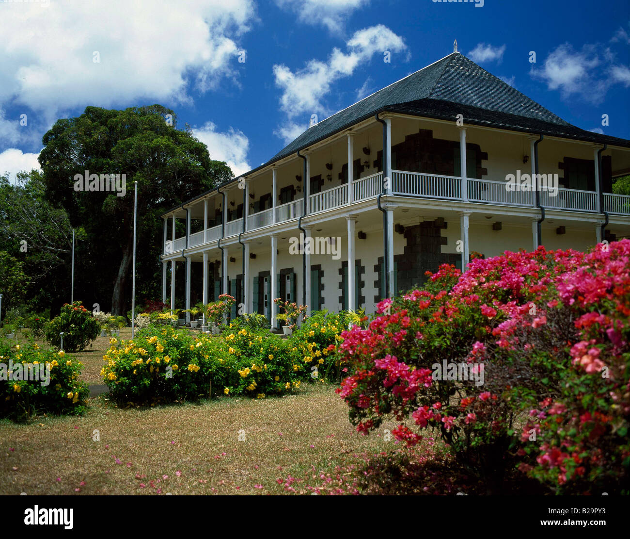 Pamplemousse Botanic Gardens Mauritius Ref WP HANI 5363 COMPULSORY CREDIT World Pictures Photoshot Stock Photo