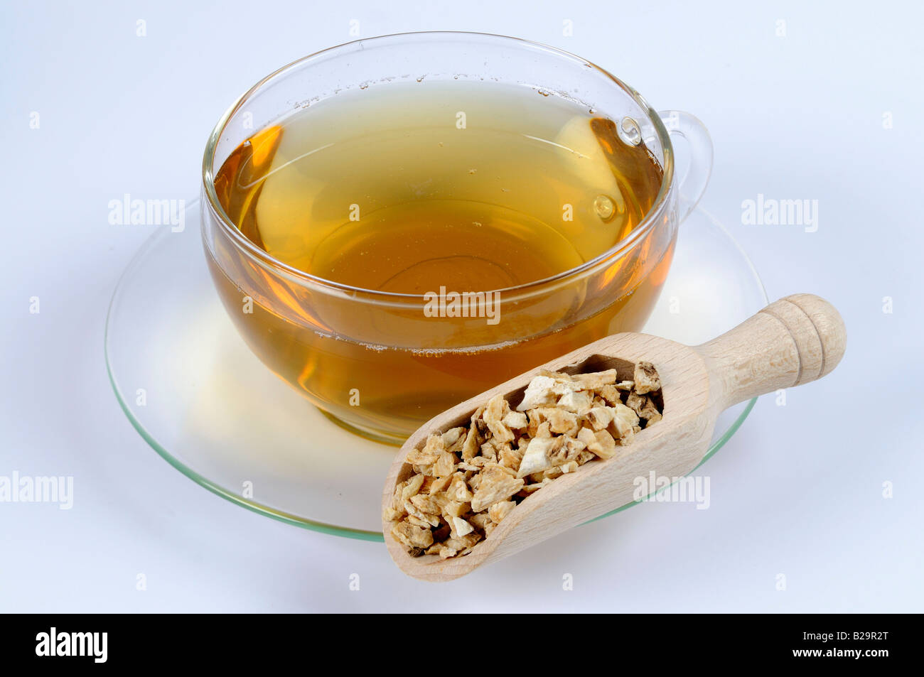 Chinese Angelica / Dang Gui Stock Photo