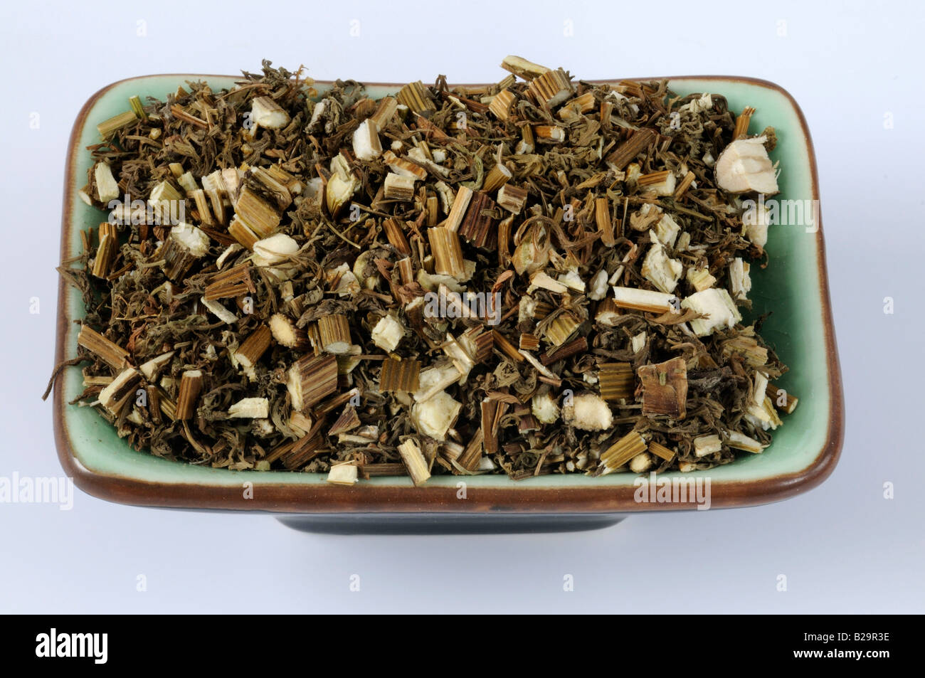 Sweet Wormwood Herb / Qing Hao Stock Photo