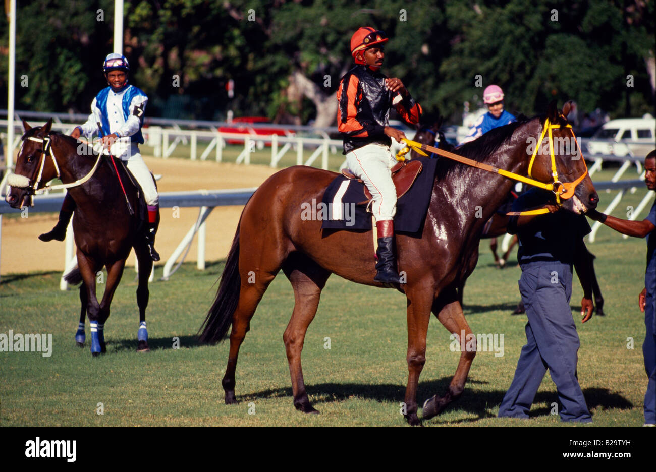Walking around at the start at the Garrison Savannah race course Stock