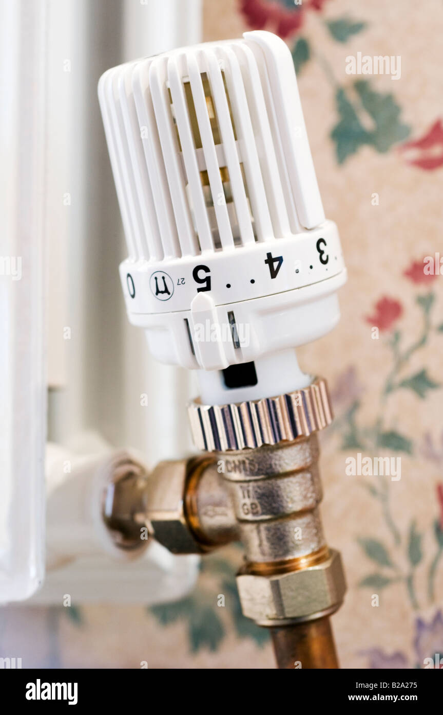 Thermostatic radiator valve Stock Photo Alamy