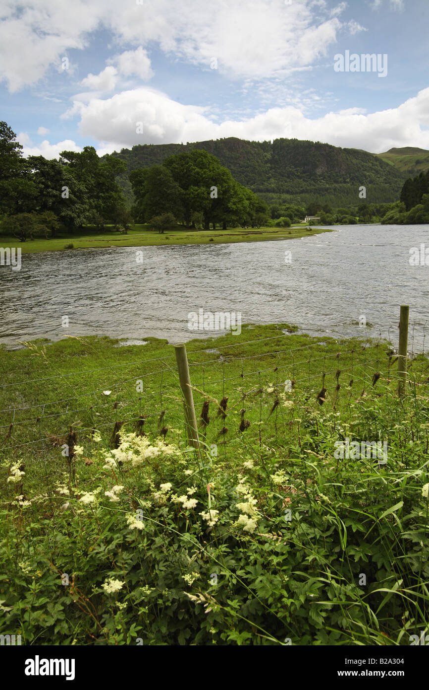 Derwent Water lake District Wild flowers grass hills mountains Stock Photo