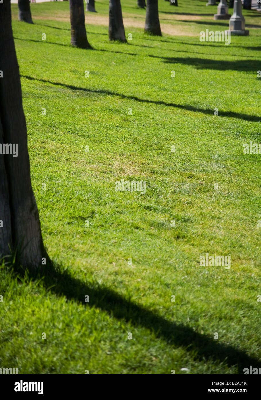 Green park grass trees hi-res stock photography and images - Alamy