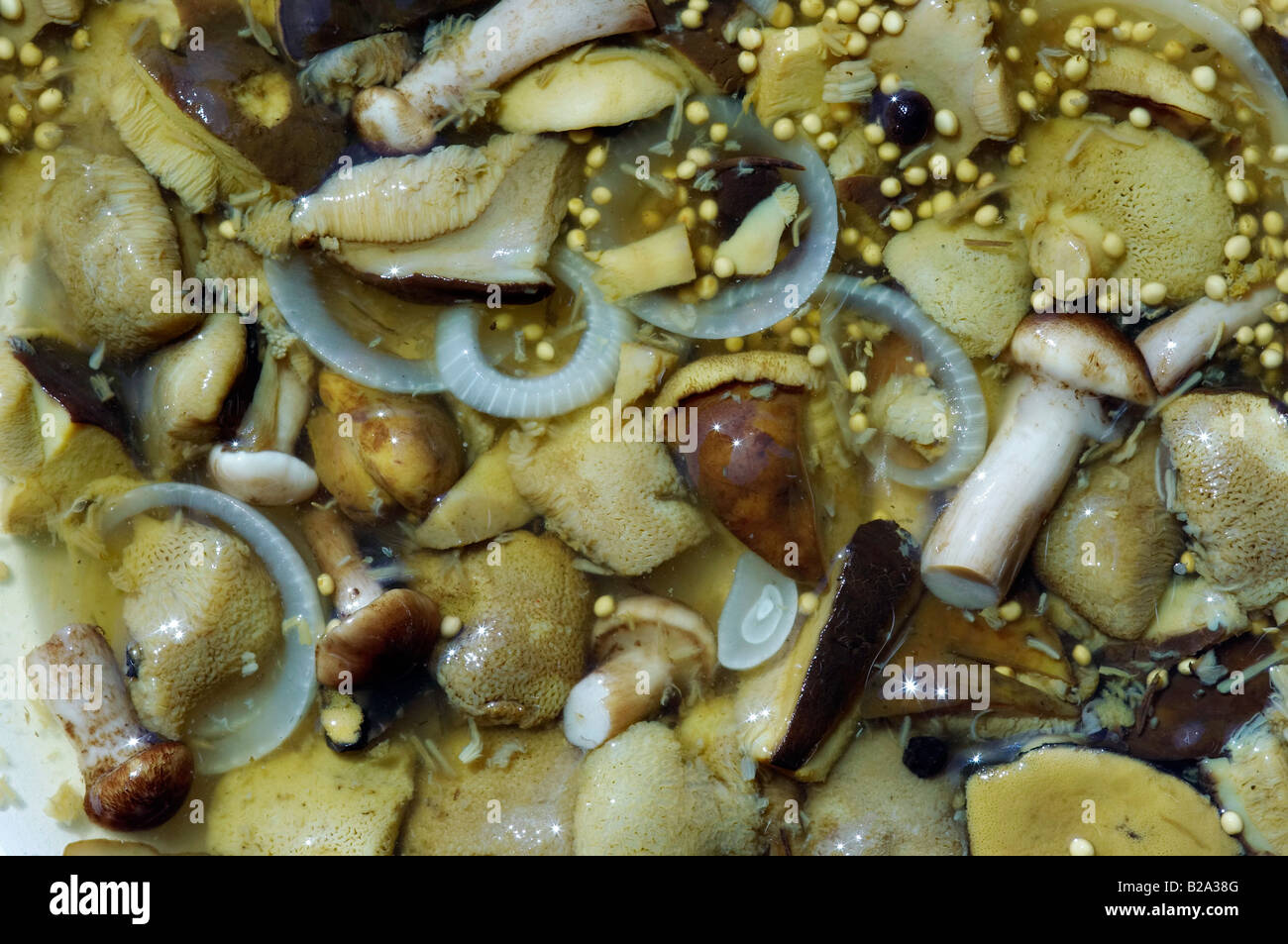 pickled mushrooms in vinaigrette Stock Photo Alamy