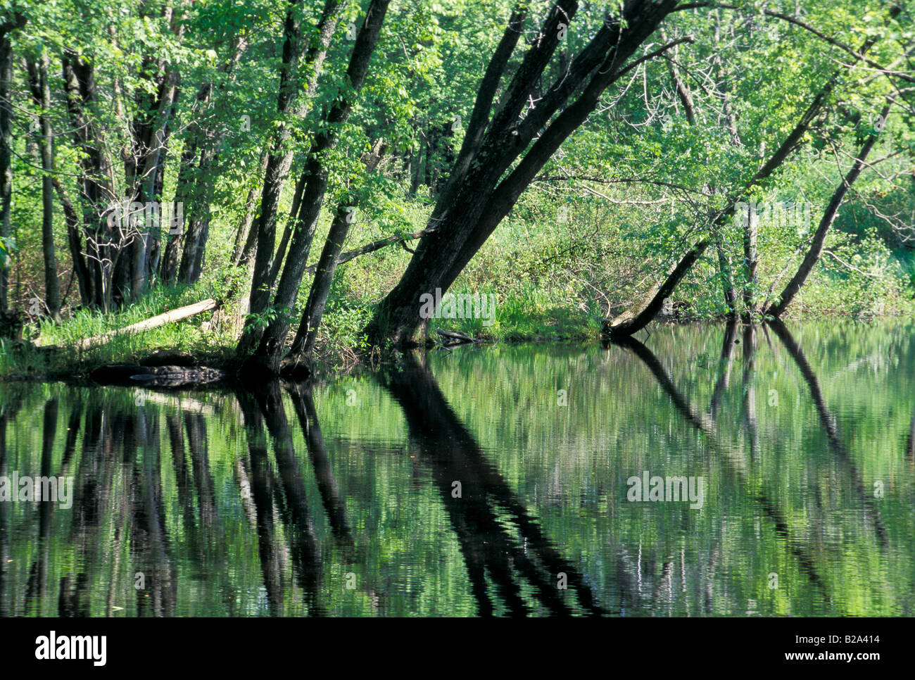 Fox River in Wisconsin, taken by Marquette and Joliet on their journey