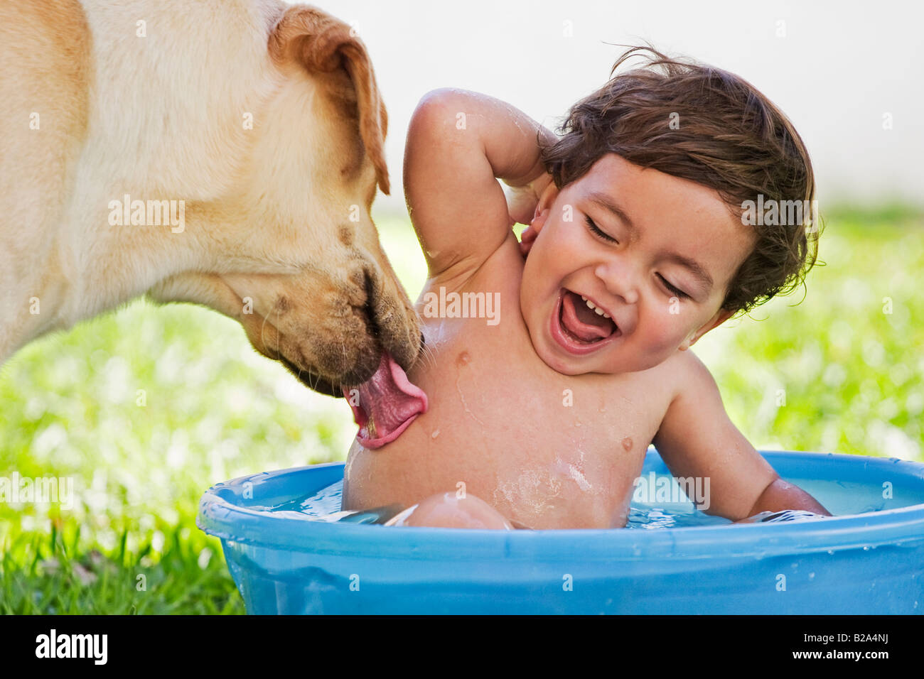 Is It Ok For A Dog To Lick A Baby