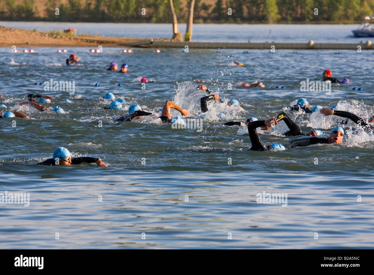 triathlon swim wallpaper