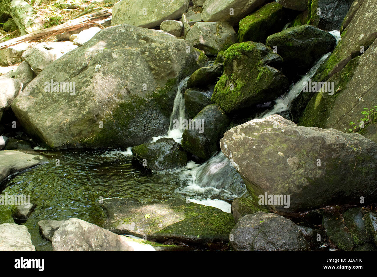 A beautiful little waterfall flowing through some rocks in the woods ...