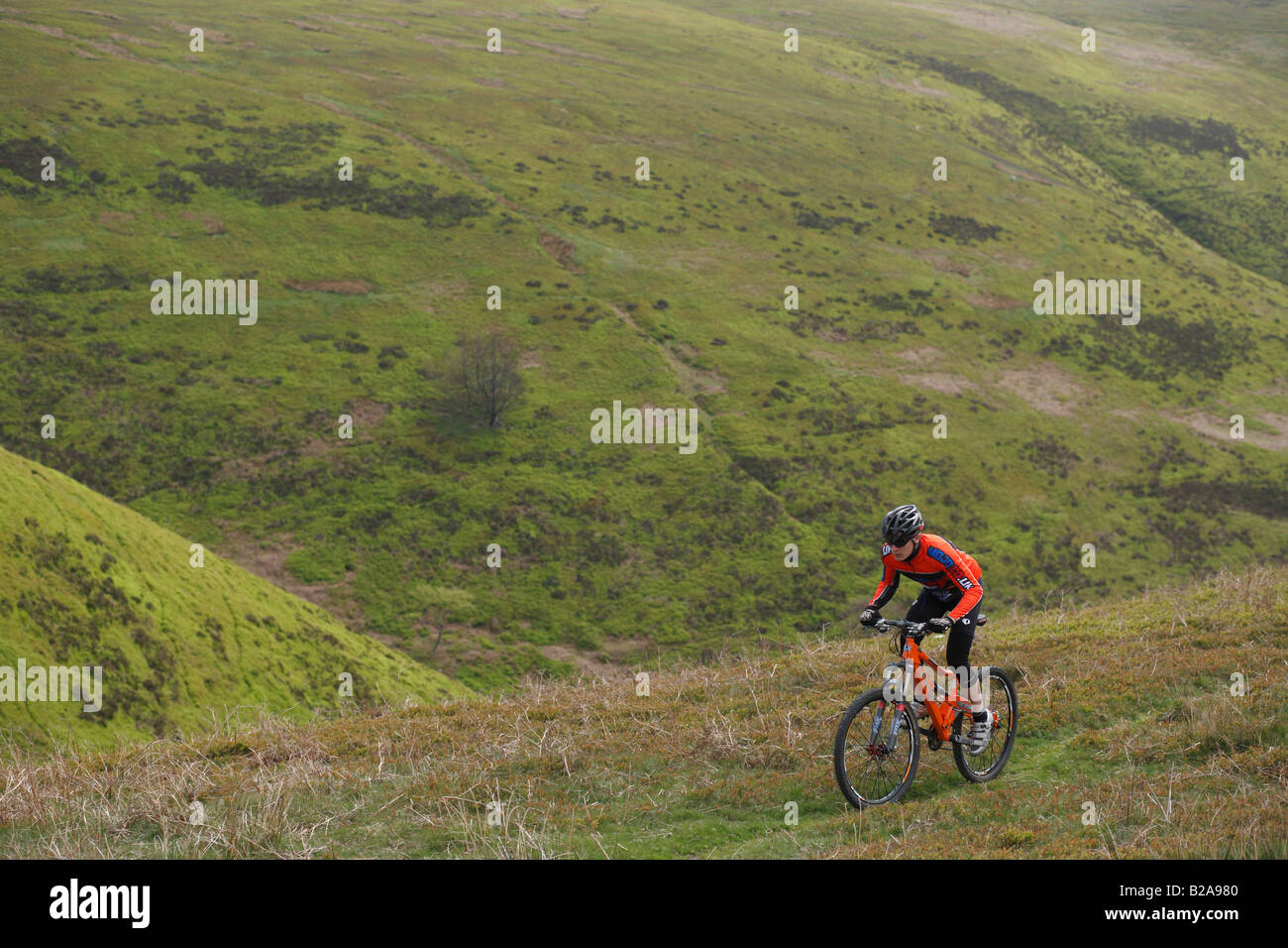 Mountain Bike Rider deep in the Valleys of South Wales Stock Photo Alamy