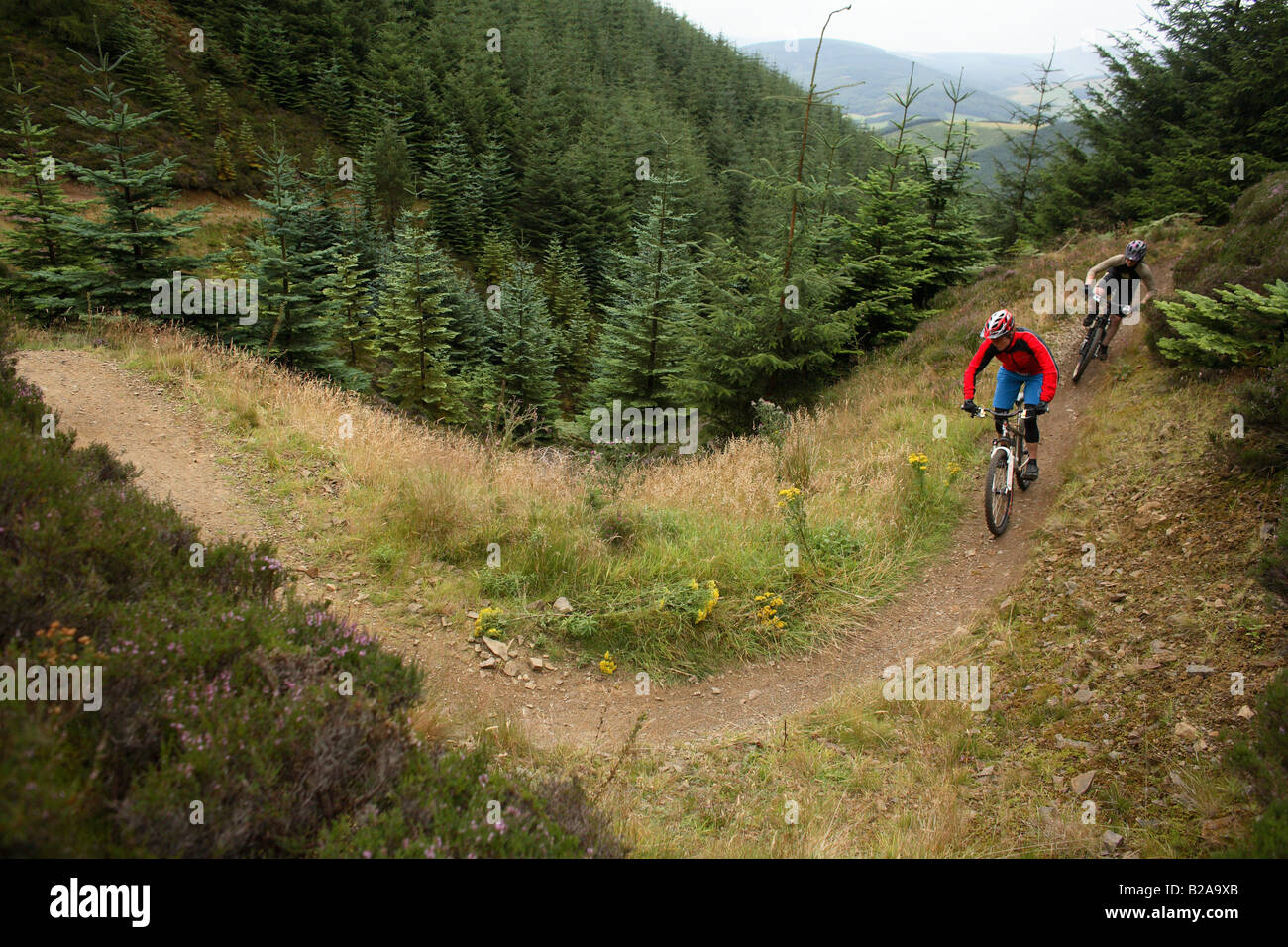 glentress new trails
