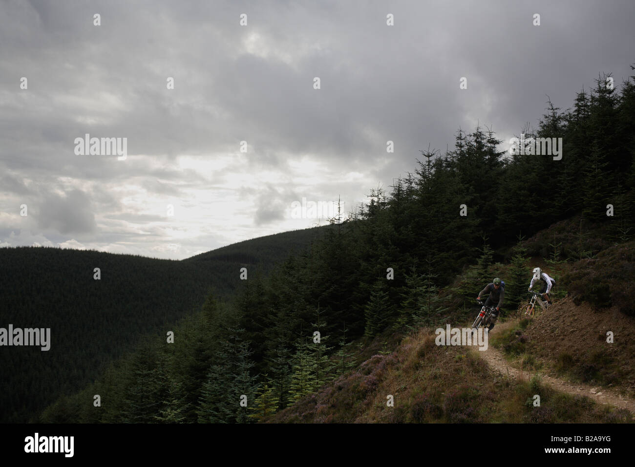 Two Mountain Bike Riders ride the trail at Glentress near Edinburgh