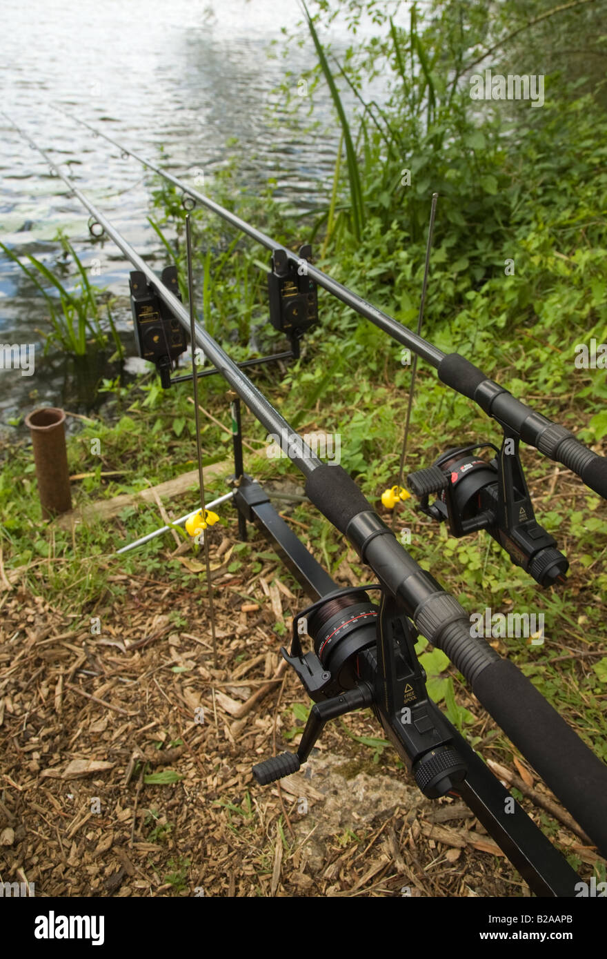 Fishing rods and reels set up with electronic bite alarms to catch