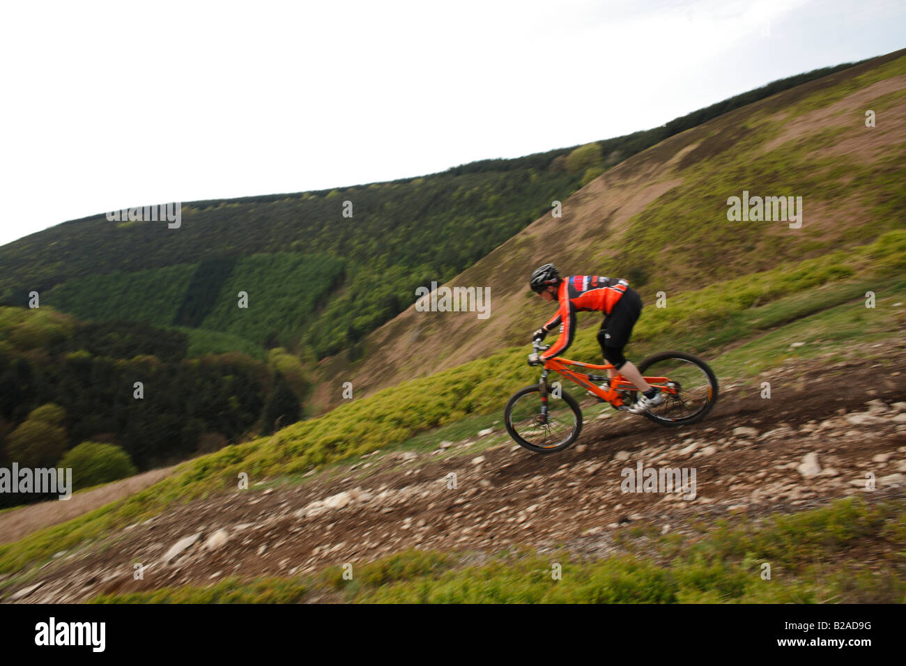 cross country and downhill