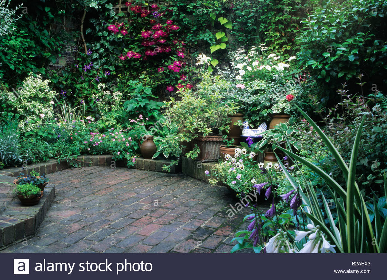 brighton small town garden patio with brick floor overview of narrow bed and area for potted plants - Patio Town brighton small town garden patio with brick floor overview of narrow bed and area for potted plants - Patio Town