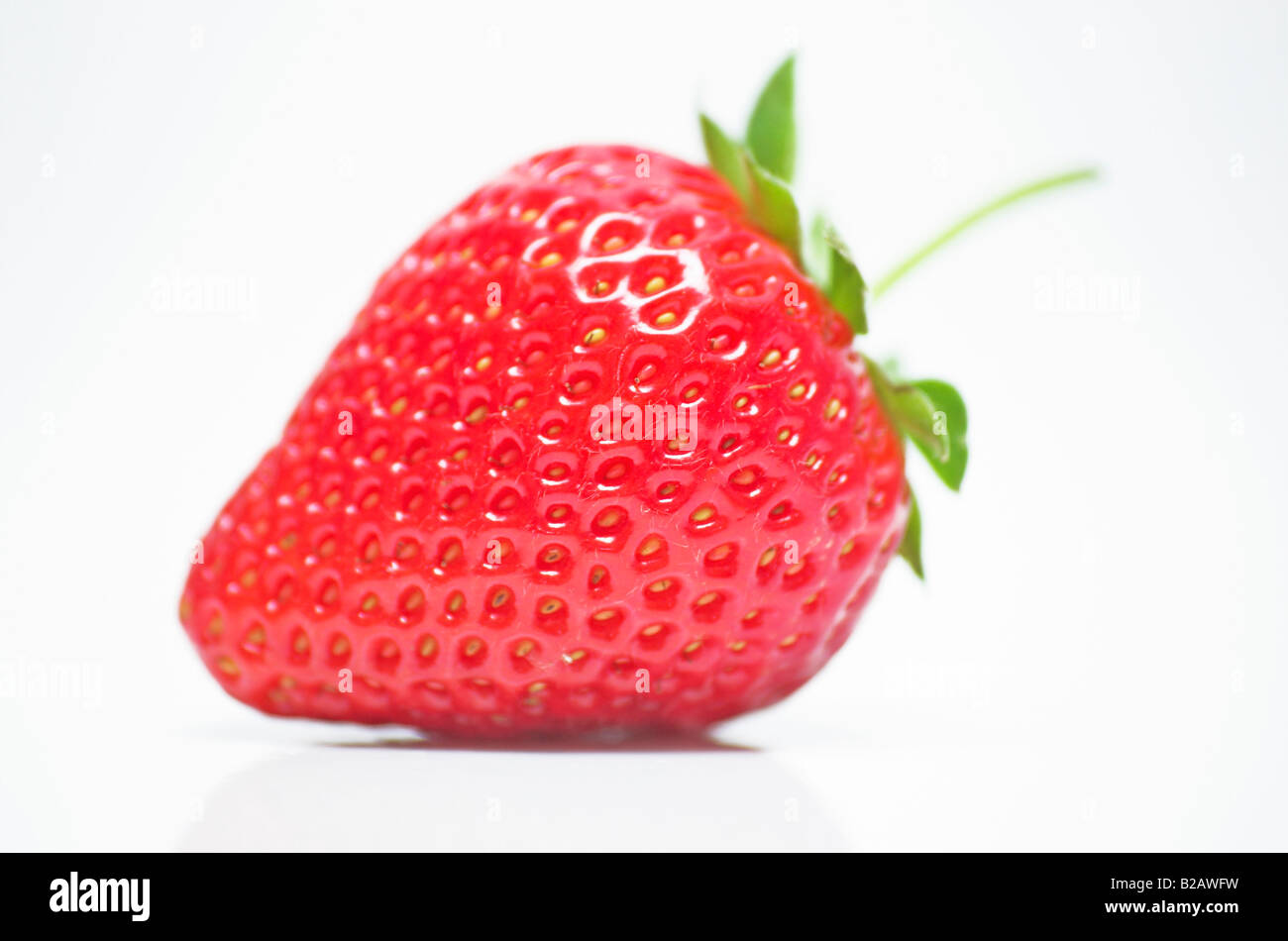 One strawberry stem hi-res stock photography and images - Alamy