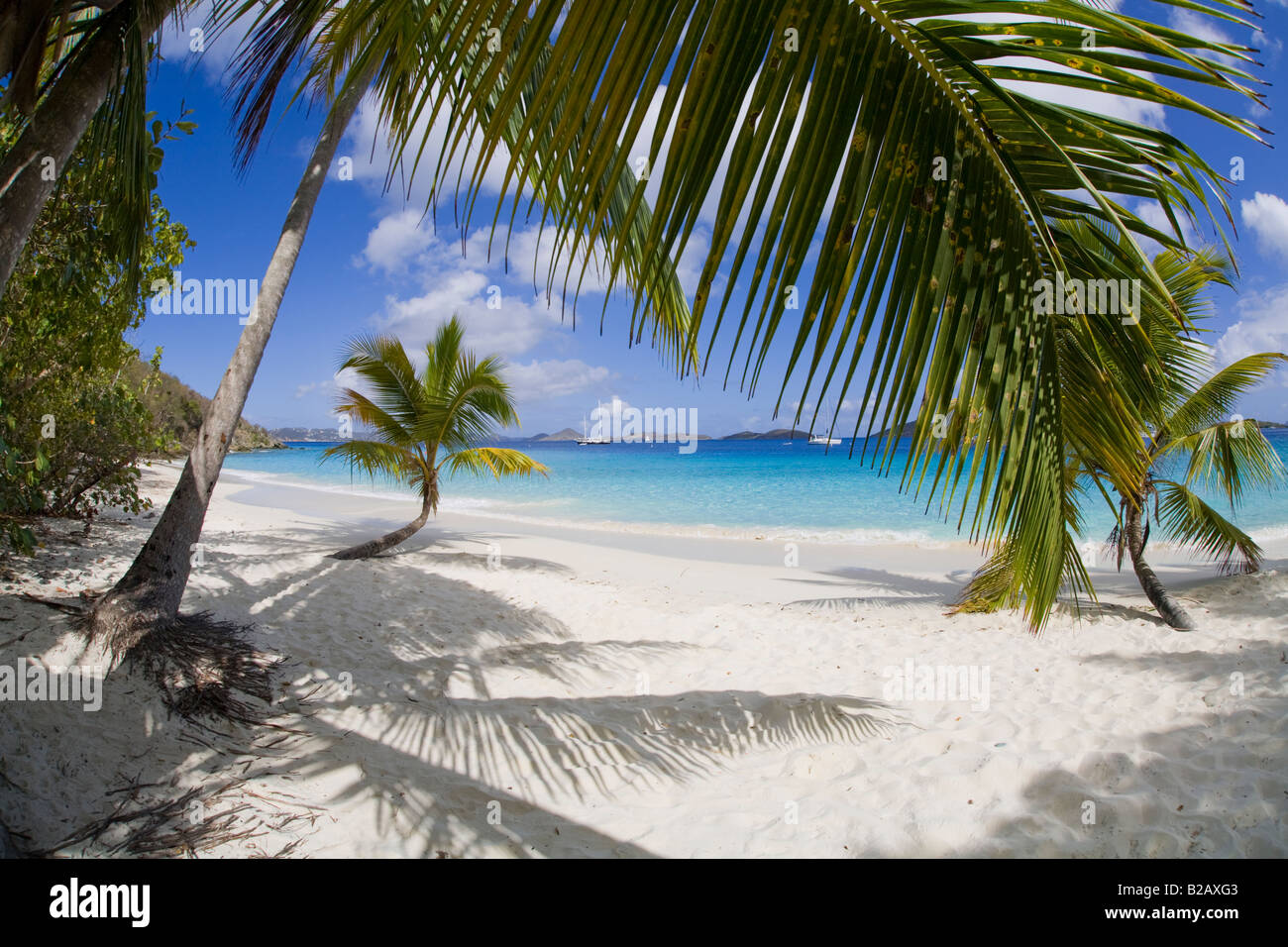 Salomon Beach in the Virgin Islands National Park on the Caribbean Island of St John in the US Virgin Islands Stock Photo