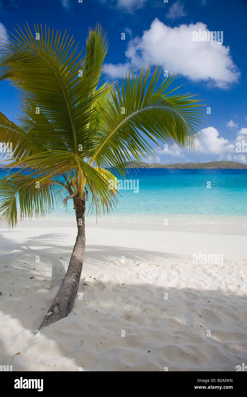 Salomon beach hi-res stock photography and images - Alamy