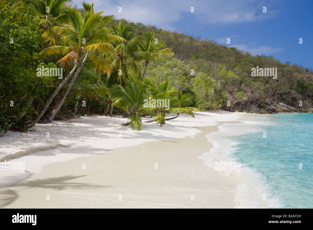 Salomon Beach in the Virgin Islands National Park on the Caribbean Island of St John in the US Virgin Islands Stock Photo