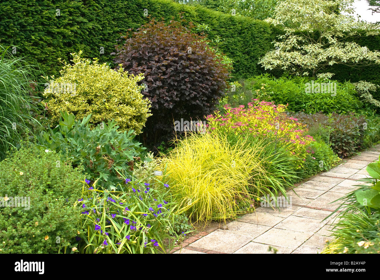 Mixed border with shrubs and herbaceous plants at Clos du Coudray private garden in Normandy France EU Stock Photo