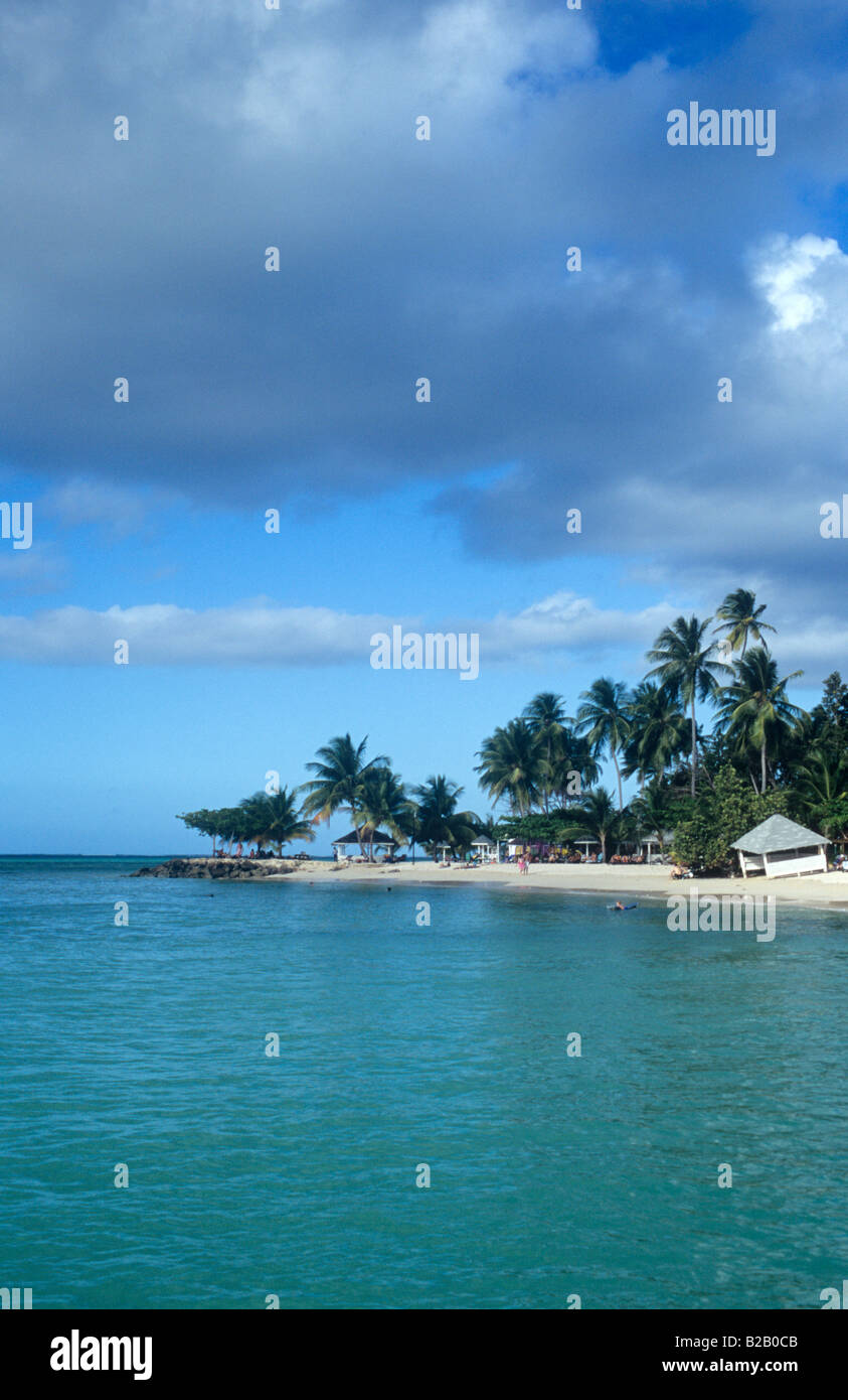 Tropical beach on Tobago Stock Photo - Alamy