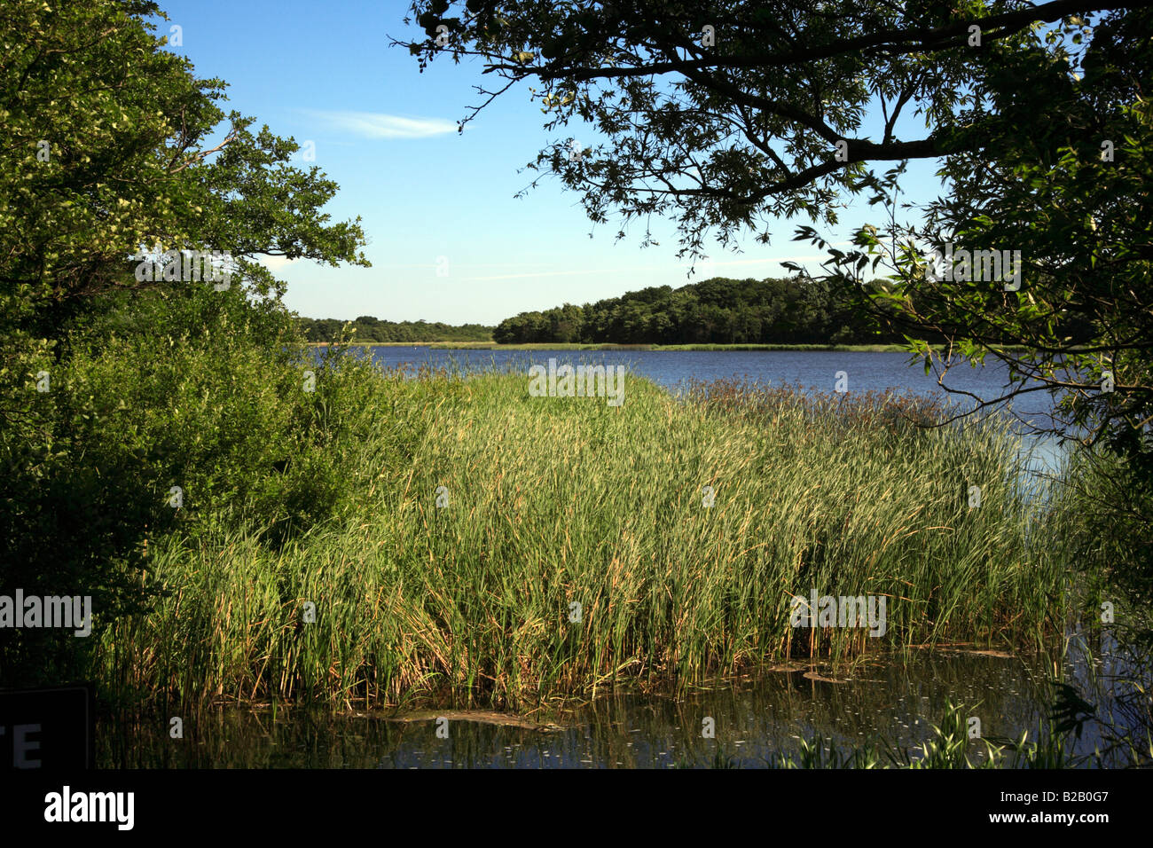 Ormesby Little Broad, near Ormesby Saint Michael, Norfolk, Uk, viewed from Filby Bridge Stock