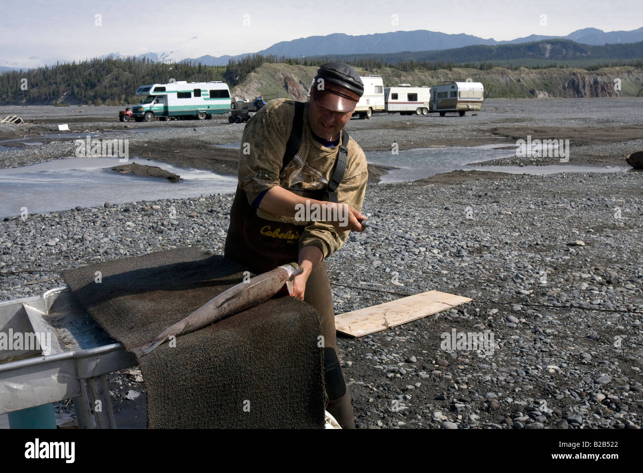 Fisherman filleting a salmon he just caught in the Copper River near Chitina, Alaska Stock Photo