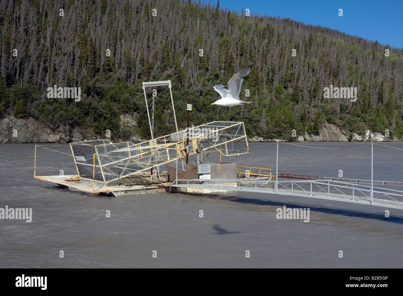 Fish Wheel on the Copper River in Chitina, Alaska Part 1 