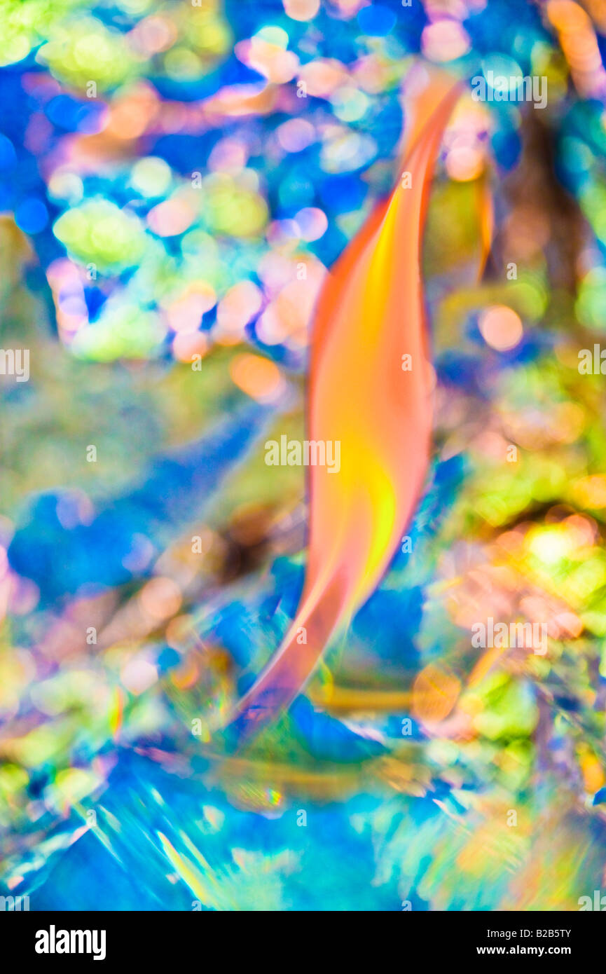Fire flame glow reflection smoke hi-res stock photography and images ...