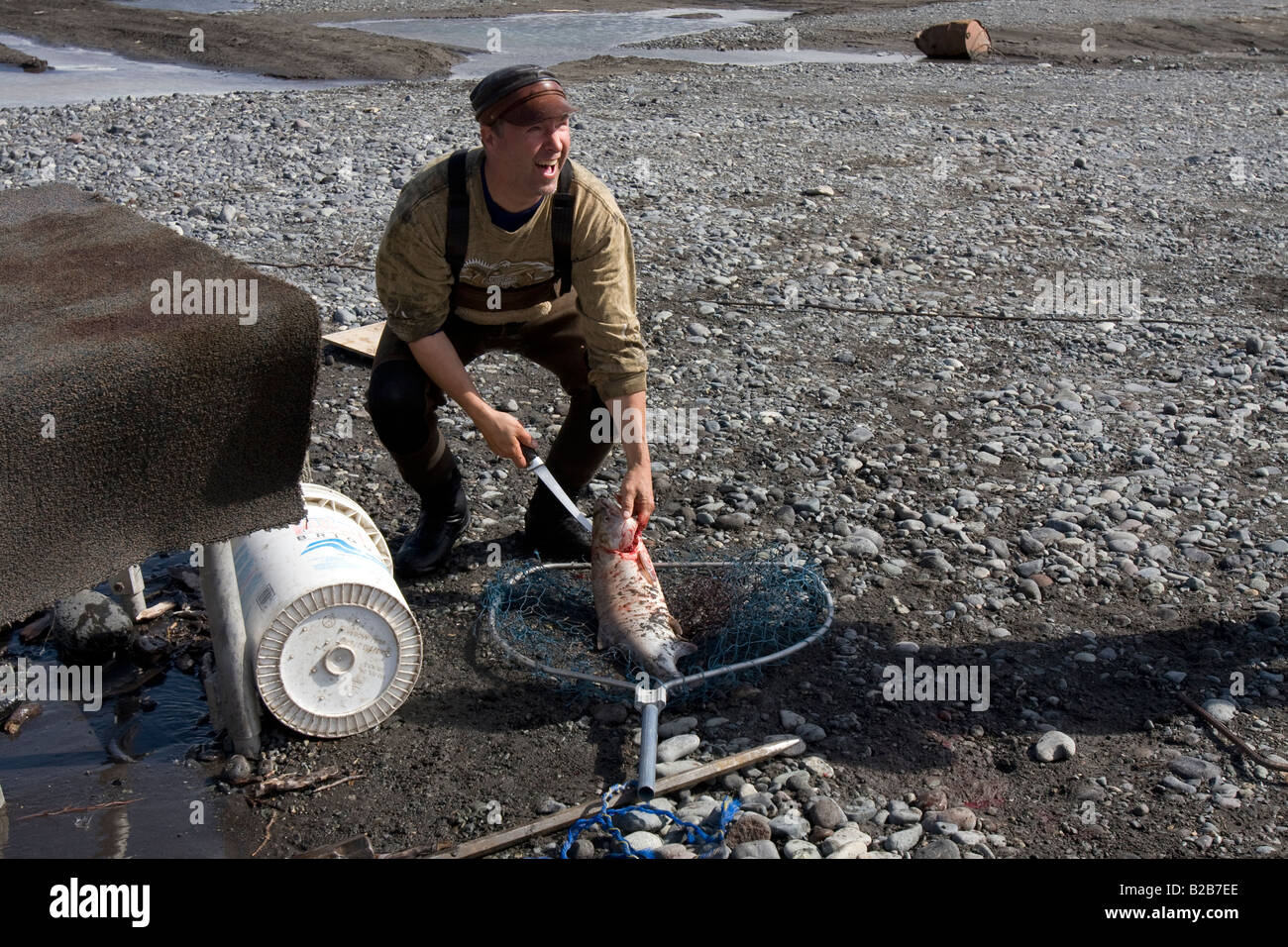 Fisherman filleting his caught of Salmon on the banks of the Copper River, near Chitina, Alaska. Stock Photo