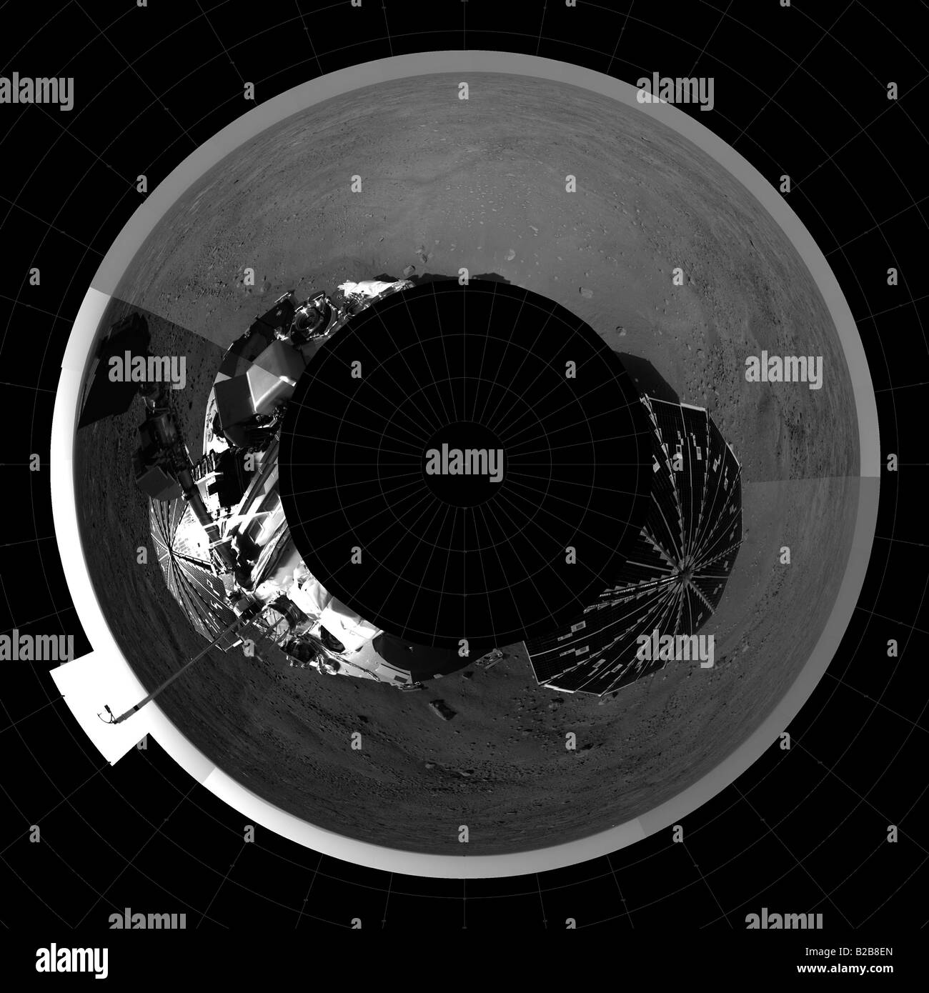 Phoenix Takes Another Look Around Stock Photo - Alamy