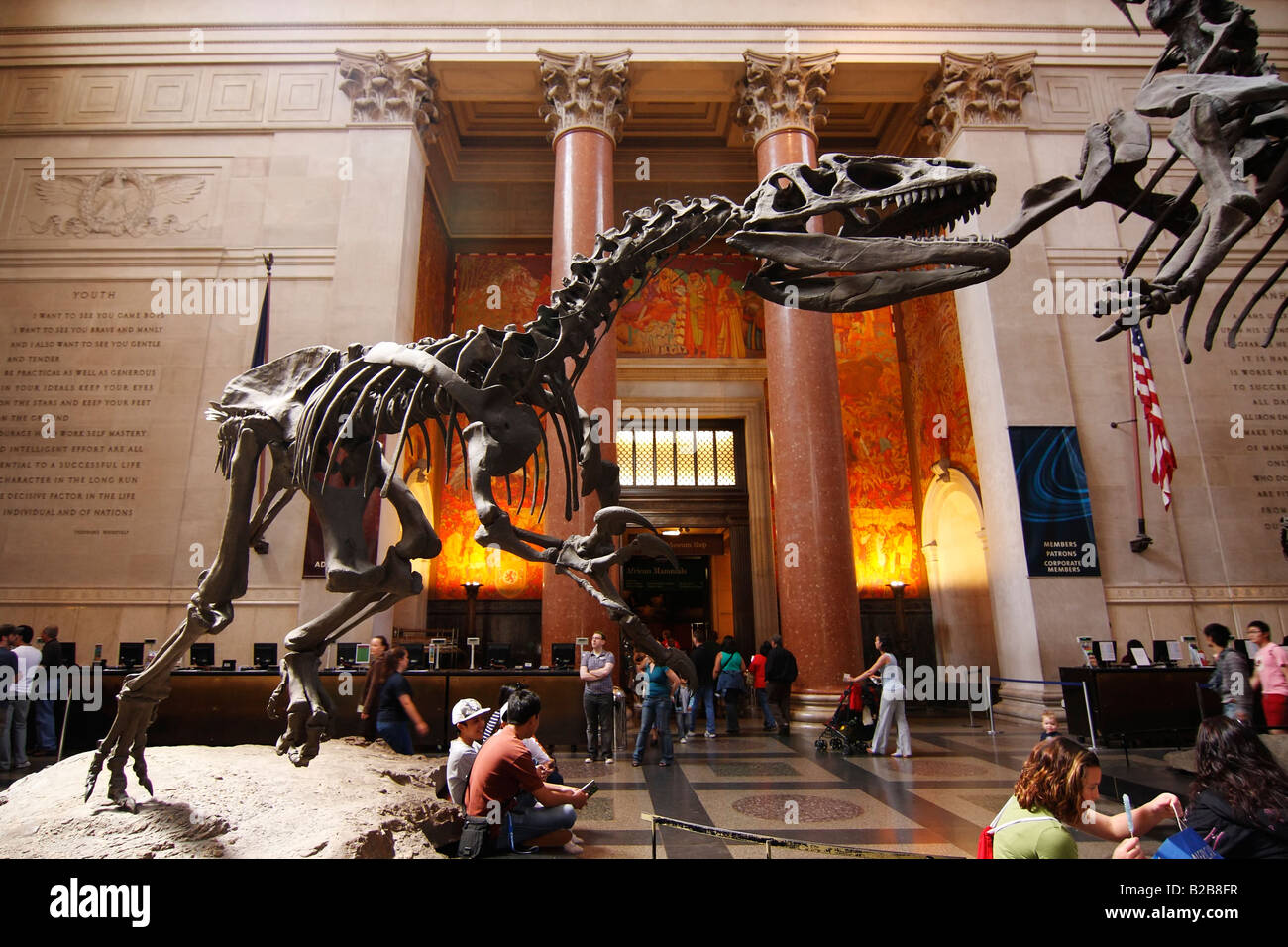 American Museum of Natural History - New York City, USA Stock Photo