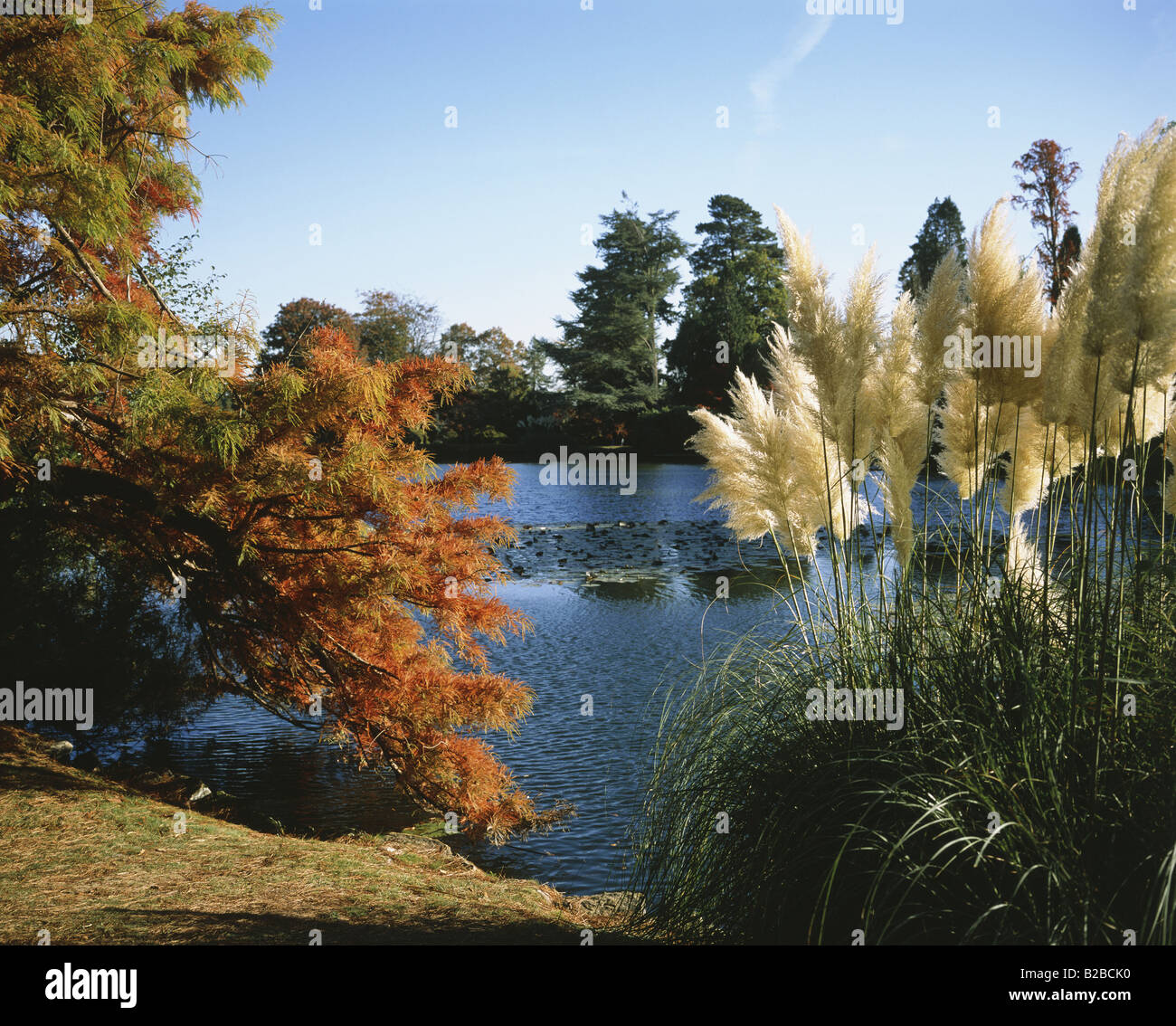 Sheffield Park Uckfield Sussex England Stock Photo Alamy