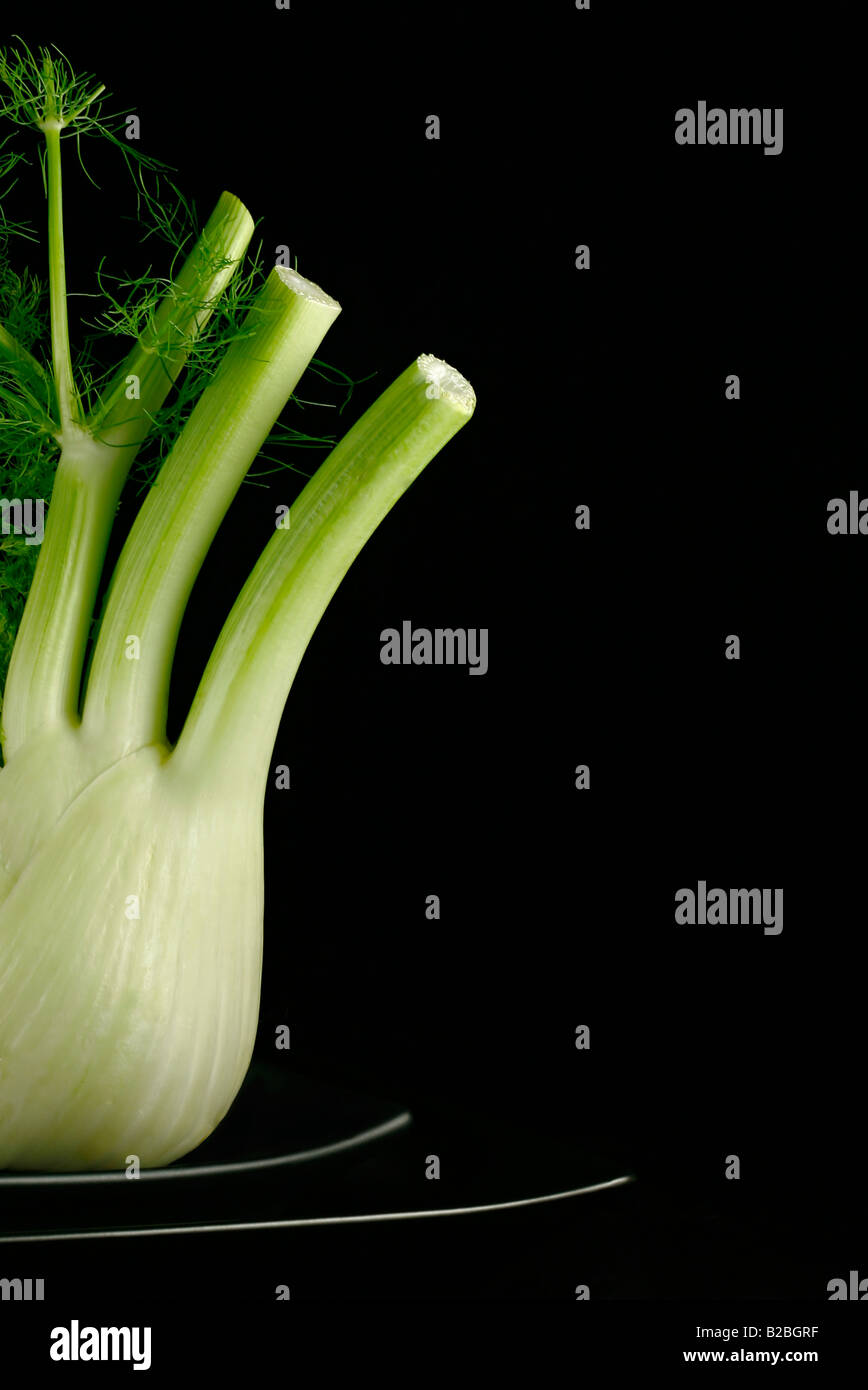 Sweet Anise, Fennel on black plates with black background Stock Photo