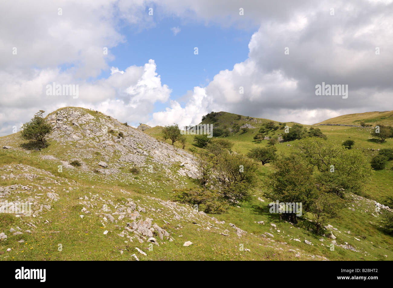 Pillow Mounds Black Mountain Mynydd Du  Carmarthenshire Wales Cymru Stock Photo