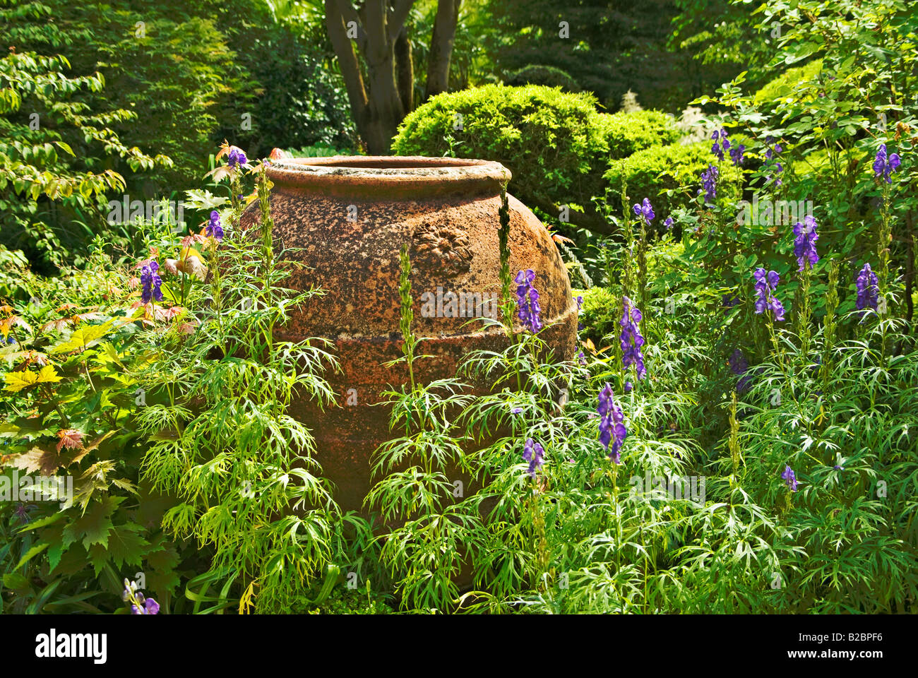 Isolated earthenware vase surrounded by plants in a wooded garden Jardin Agapathe Normandy France EU Stock Photo